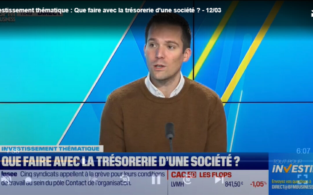 Que faire avec la trésorerie d’une société ?