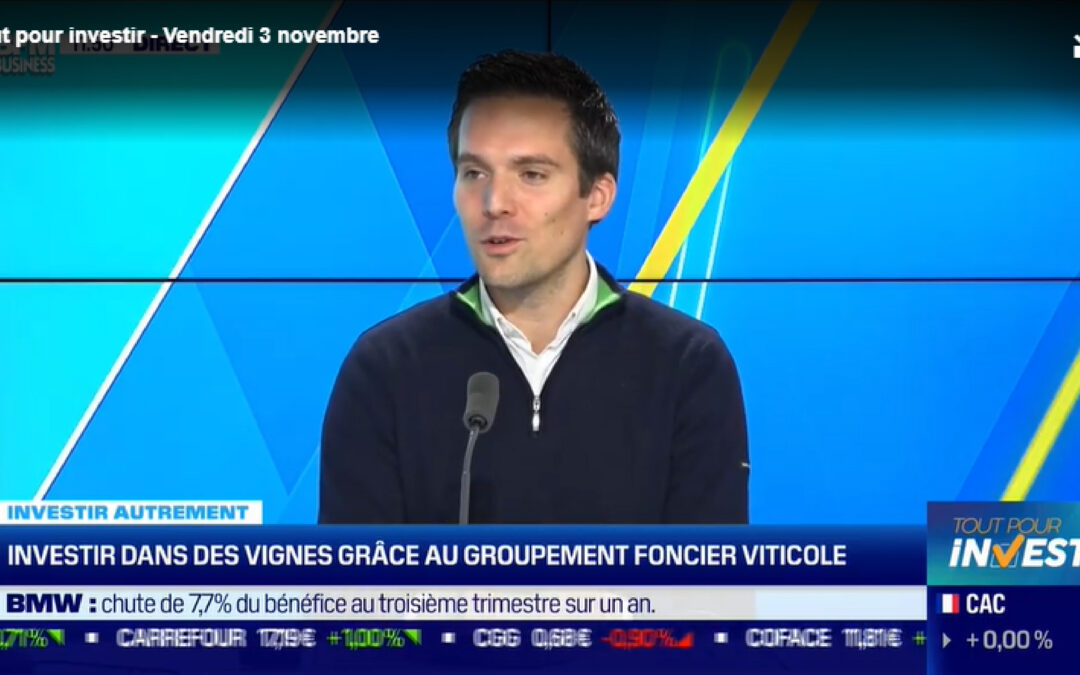 Investir dans des vignes grâce au groupement foncier viticole
