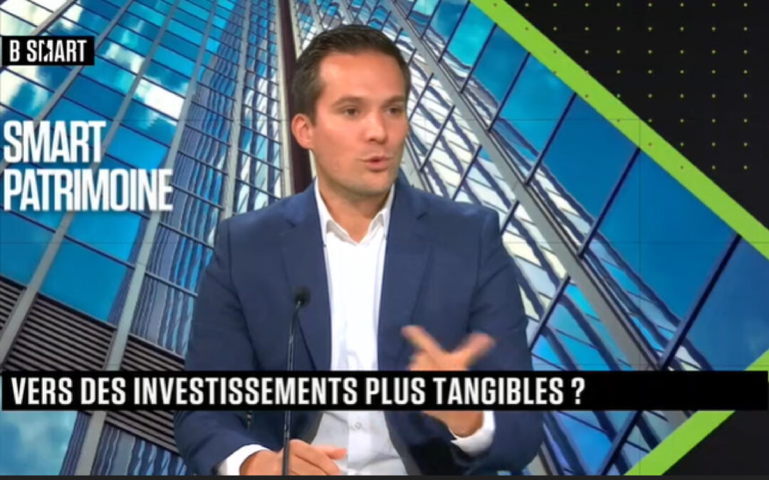 Vers des investissements plus tangibles ? (sept. 2022)