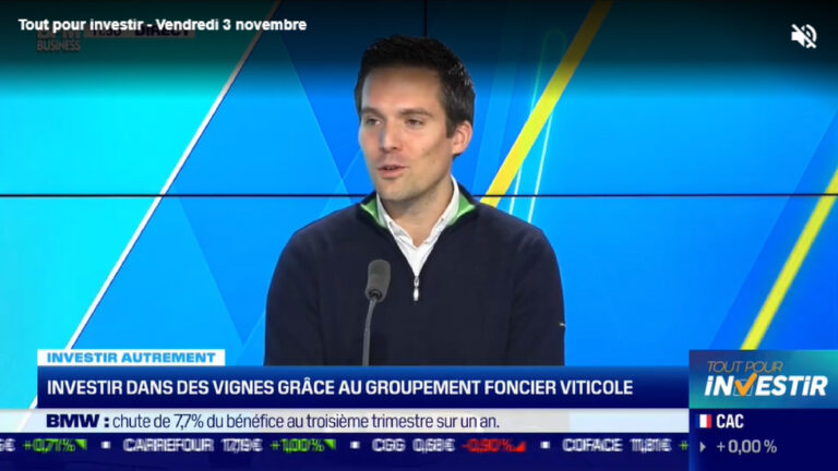 Investir dans des vignes grâce au groupement foncier viticole