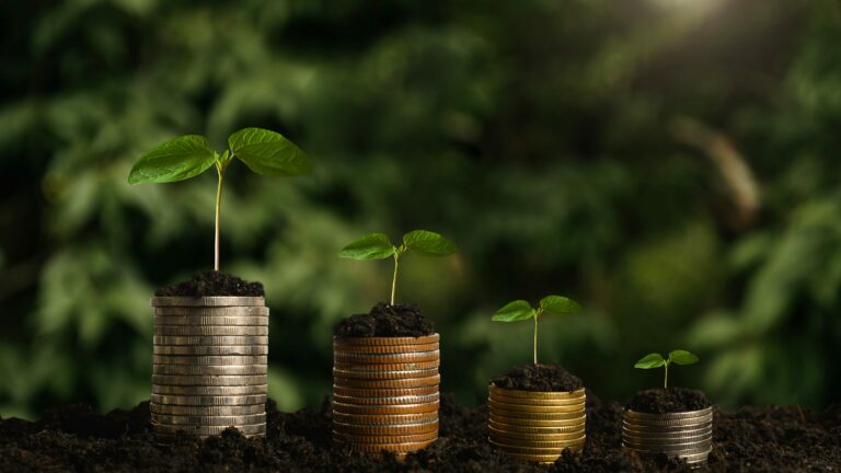 Pourquoi la finance durable est abandonnée, alors qu’elle n’a jamais été aussi nécessaire ?